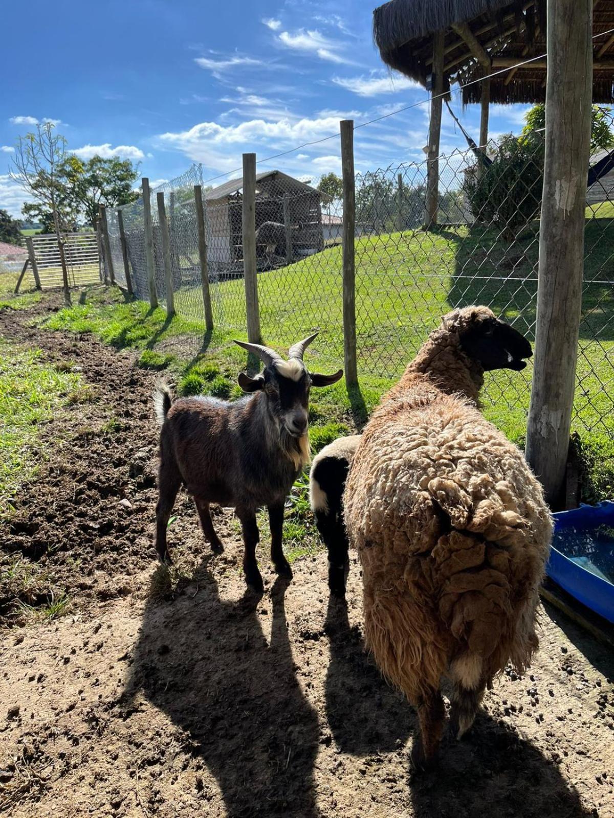 La Palma Hotel Fazenda インダイアトゥーバ エクステリア 写真