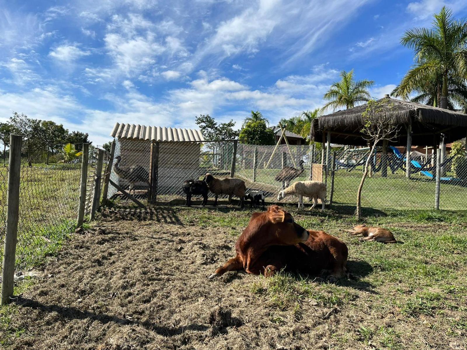 La Palma Hotel Fazenda インダイアトゥーバ エクステリア 写真