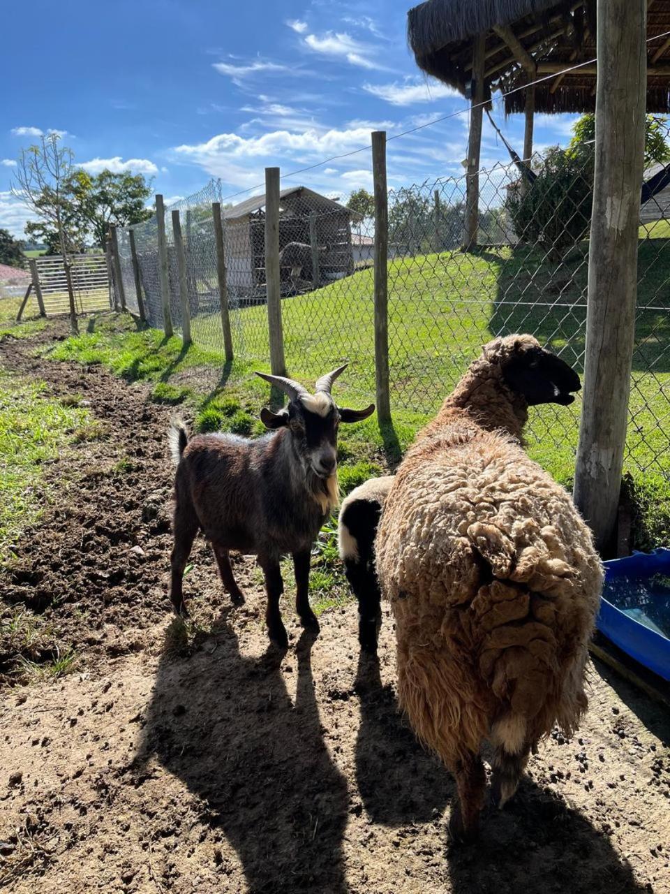 La Palma Hotel Fazenda インダイアトゥーバ エクステリア 写真