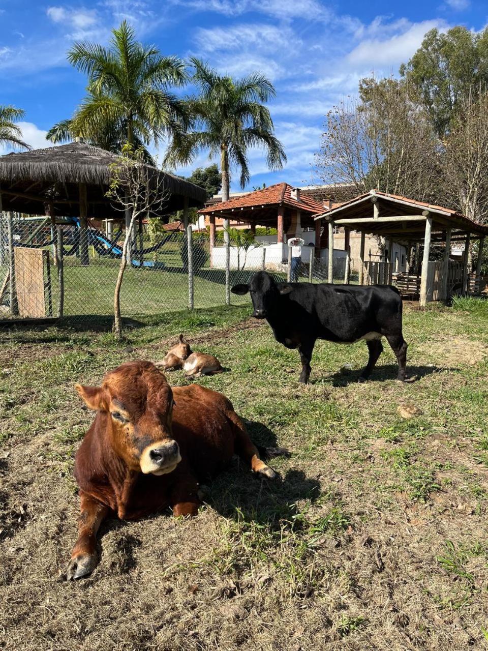 La Palma Hotel Fazenda インダイアトゥーバ エクステリア 写真